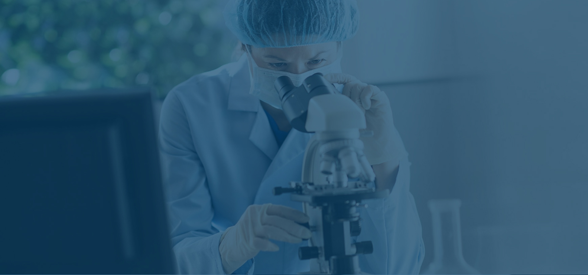 聚甲基乙烯基醚/馬來酸酐共聚物